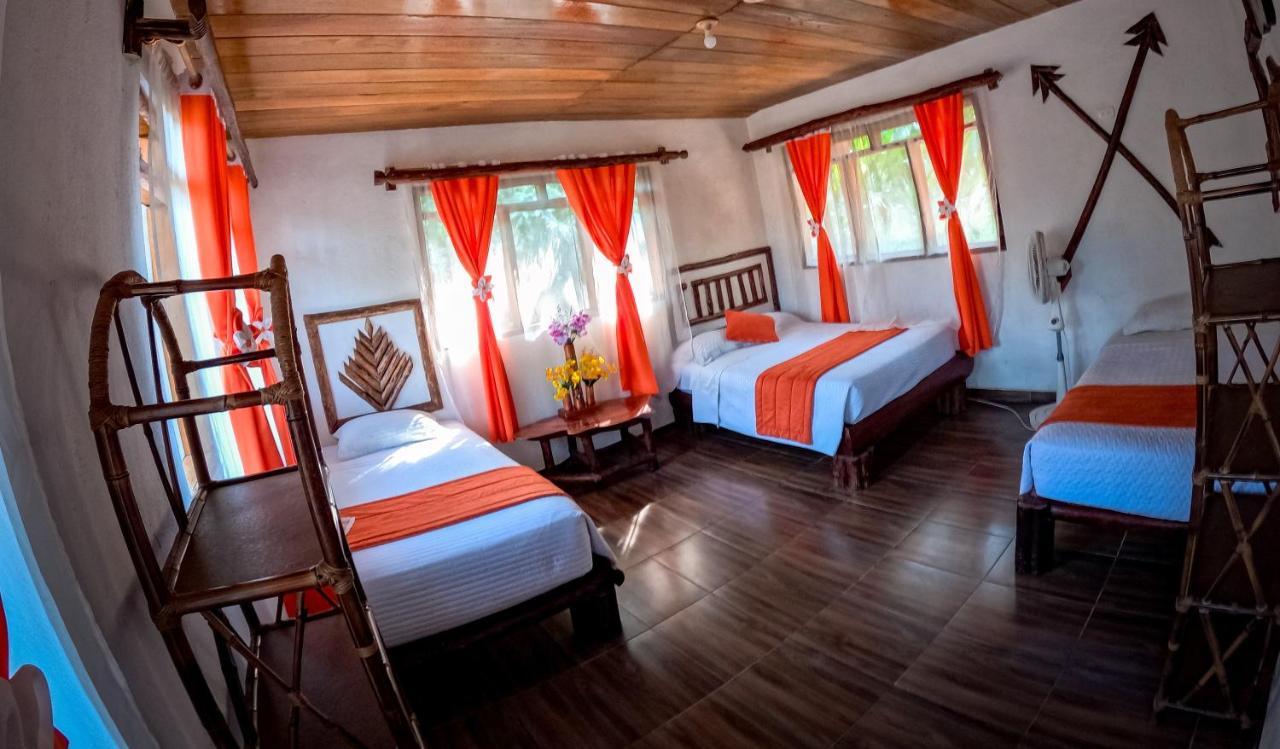 Suchipakari Amazon Eco -Lodge & Jungle Reserve Puerto Misahuallí Extérieur photo