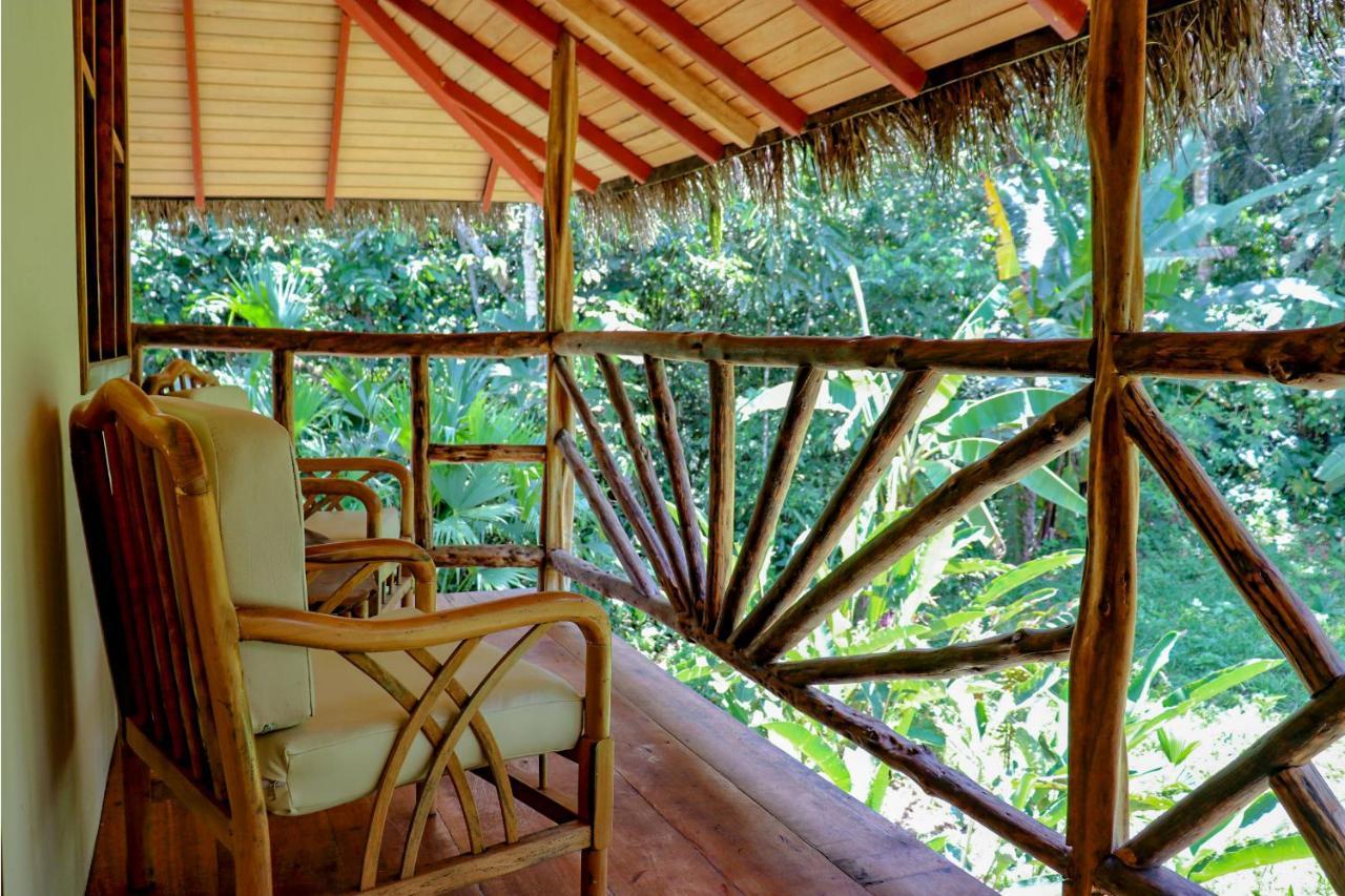 Suchipakari Amazon Eco -Lodge & Jungle Reserve Puerto Misahuallí Extérieur photo