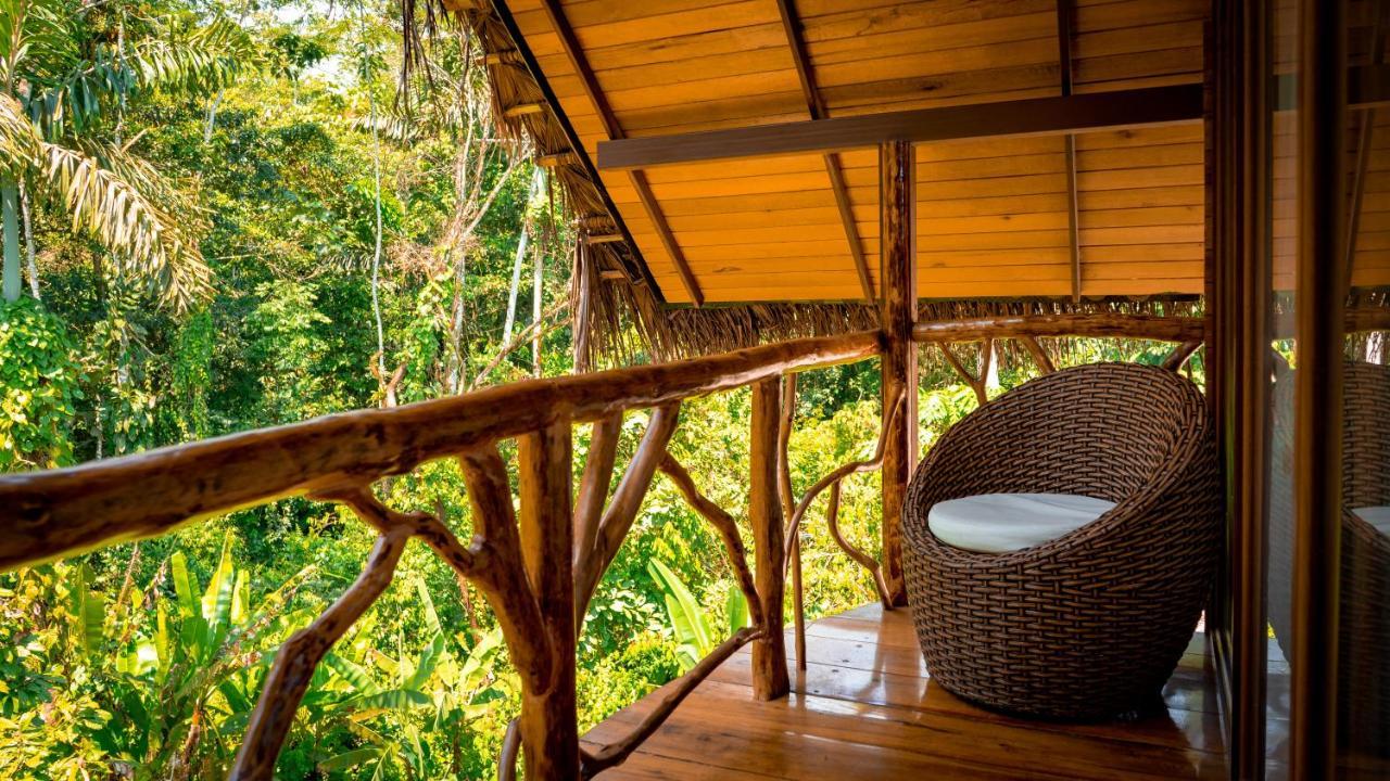 Suchipakari Amazon Eco -Lodge & Jungle Reserve Puerto Misahuallí Extérieur photo