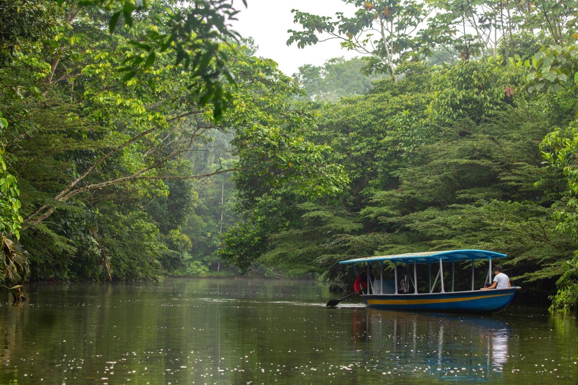 Suchipakari Amazon Eco -Lodge & Jungle Reserve Puerto Misahuallí Extérieur photo