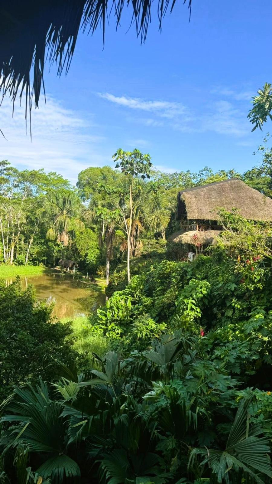 Suchipakari Amazon Eco -Lodge & Jungle Reserve Puerto Misahuallí Extérieur photo