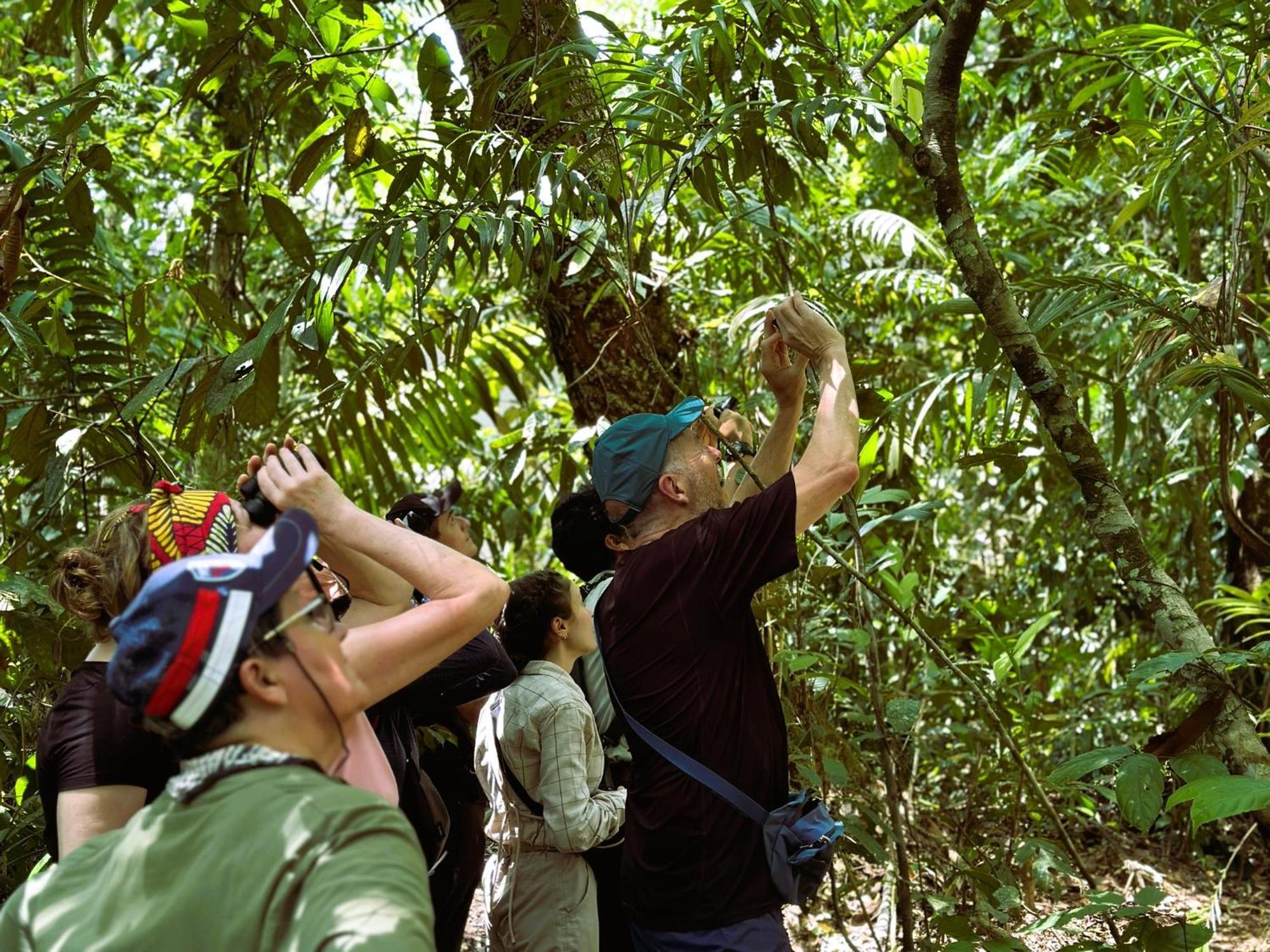 Suchipakari Amazon Eco -Lodge & Jungle Reserve Puerto Misahuallí Extérieur photo